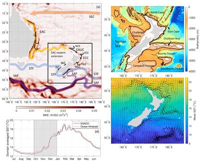 Assessing the impact of subsurface temperature observations from fishing vessels on temperature and heat content estimates in shelf seas: a New Zealand case study using Observing System Simulation Experiments